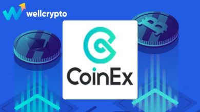 Professional Overview WellCrypto.io: An In-Depth Look at Exchange Evaluation